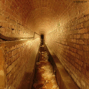 drain.gif (416538 bytes)